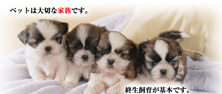 ybg͑؂ȉƑłBI炪{łBANZT[ł͂܂B