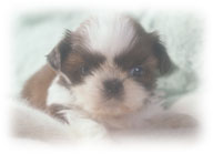 ybgɂƂĈԑ厖ȂƂƂ